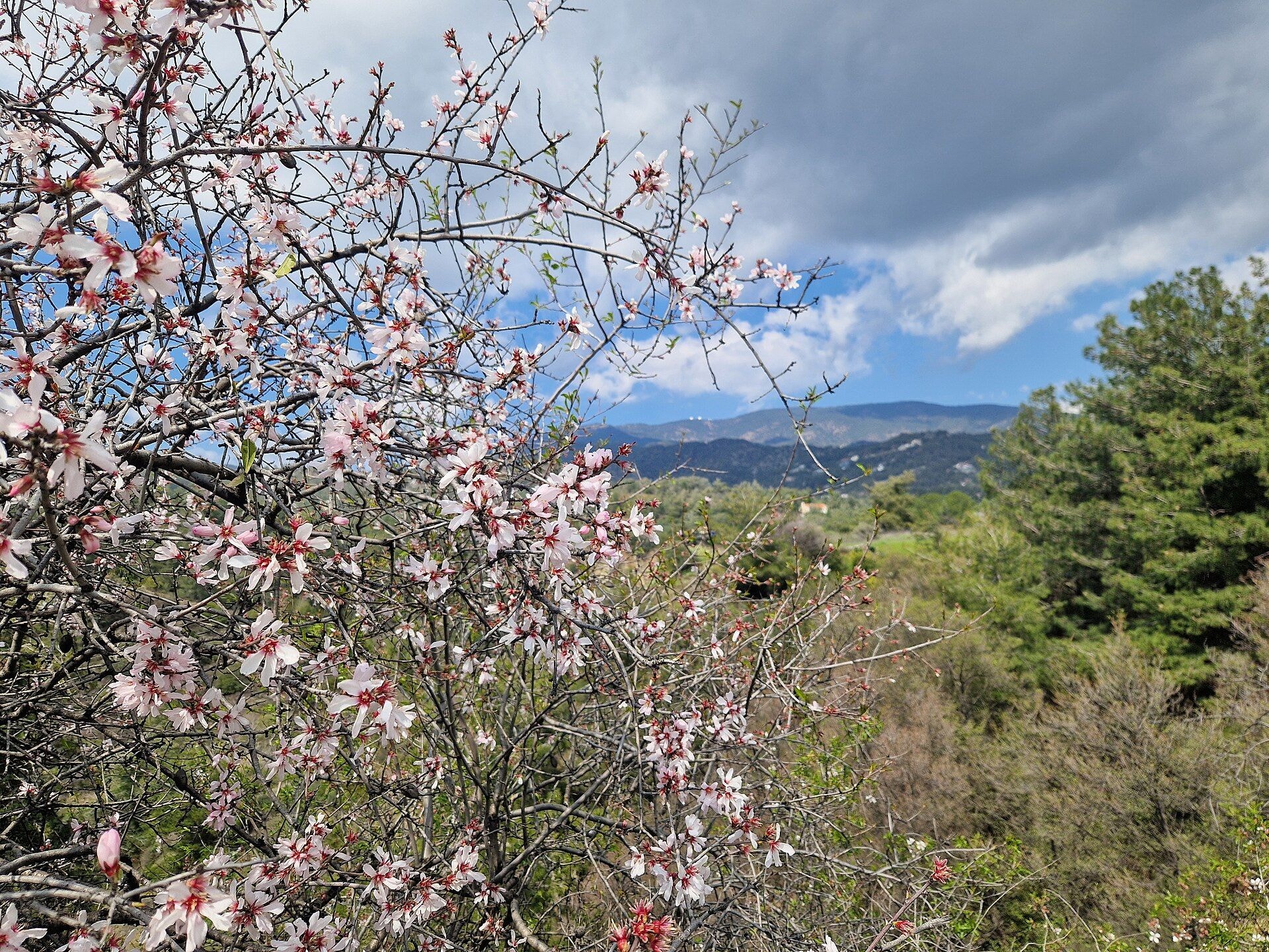 A year in North Cyprus — the weather month by month and everyday life