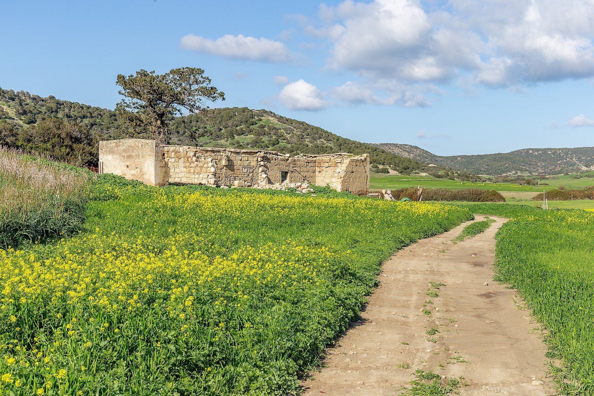 Karpaz — the wild end of the island